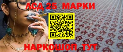 гидропоника Пушкино