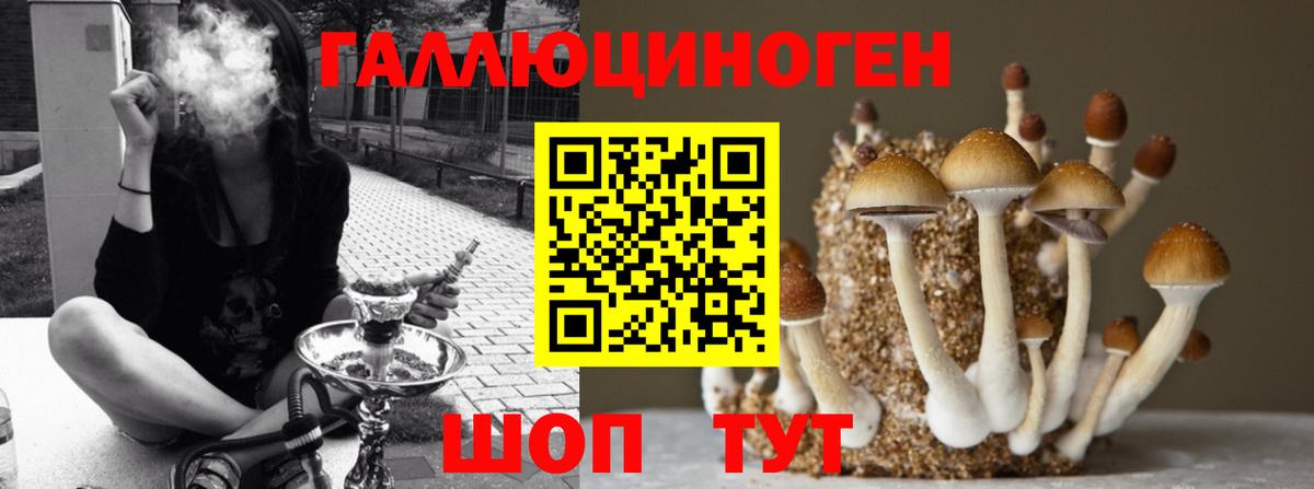 Галлюциногенные грибы MAGIC MUSHROOMS  Вход с VPN  Похвистнево  Галлюциногенные грибы прущие грибы 